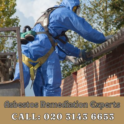 Asbestos Remediation Experts Elm Park