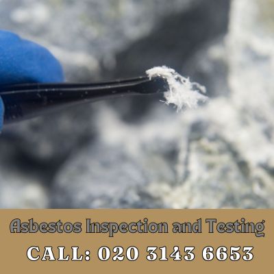 Comprehensive Asbestos Inspection and Testing Services in Elm Park